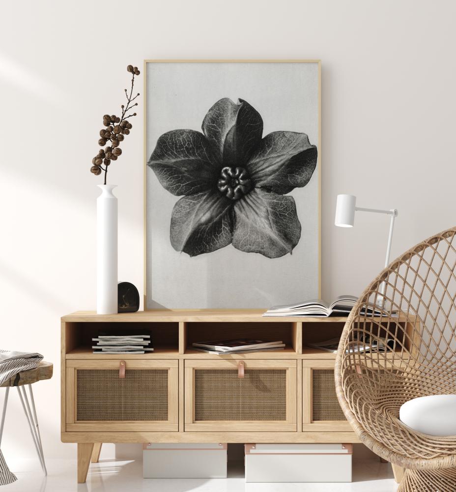 Grey Flower III Poster