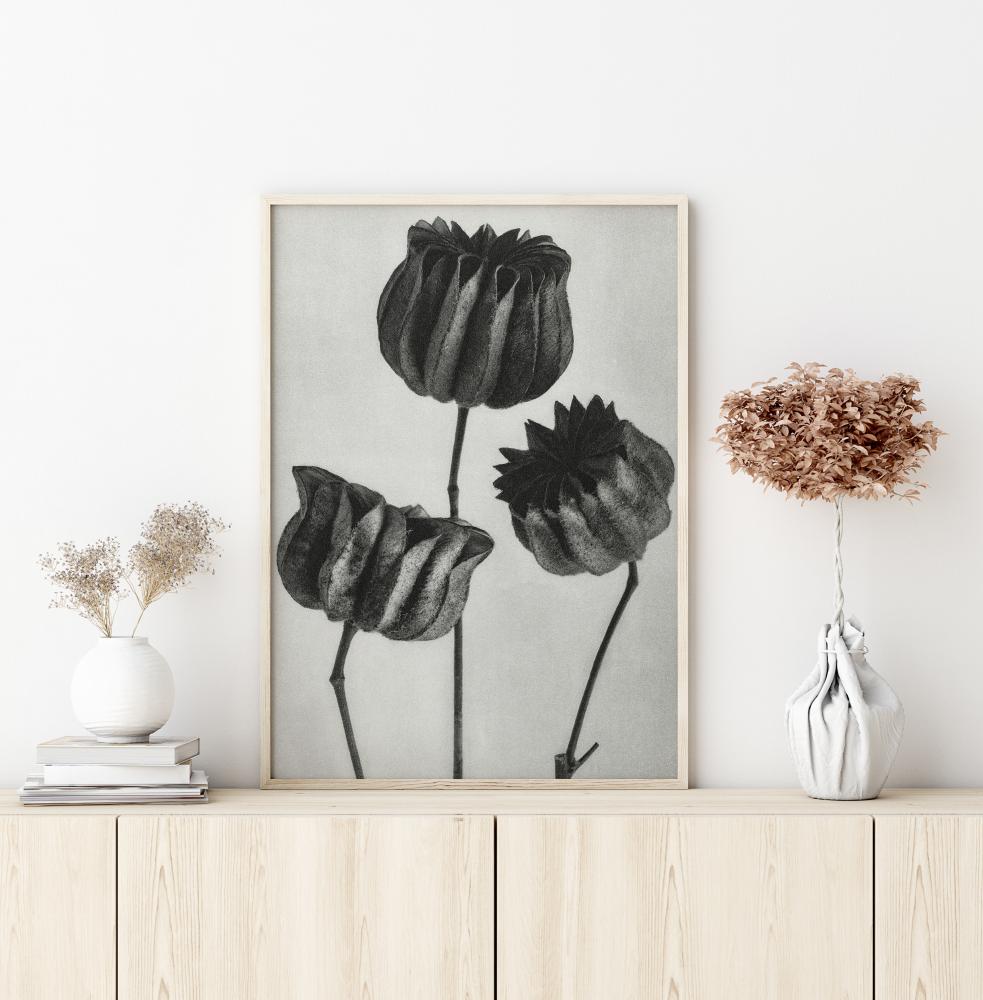 Grey Flower V Poster