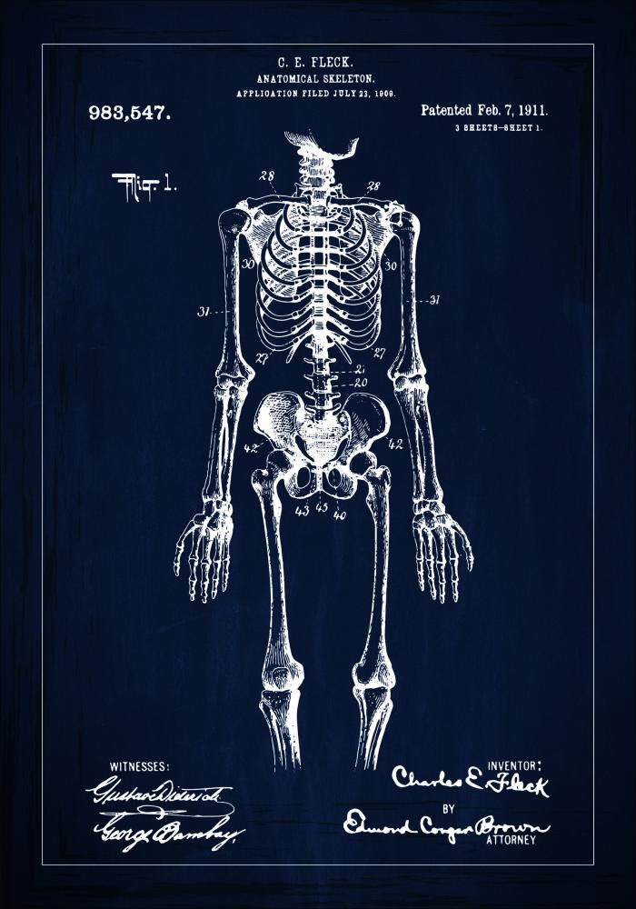 Risba patenta - Anatomičen Skelet v - Modra Poster