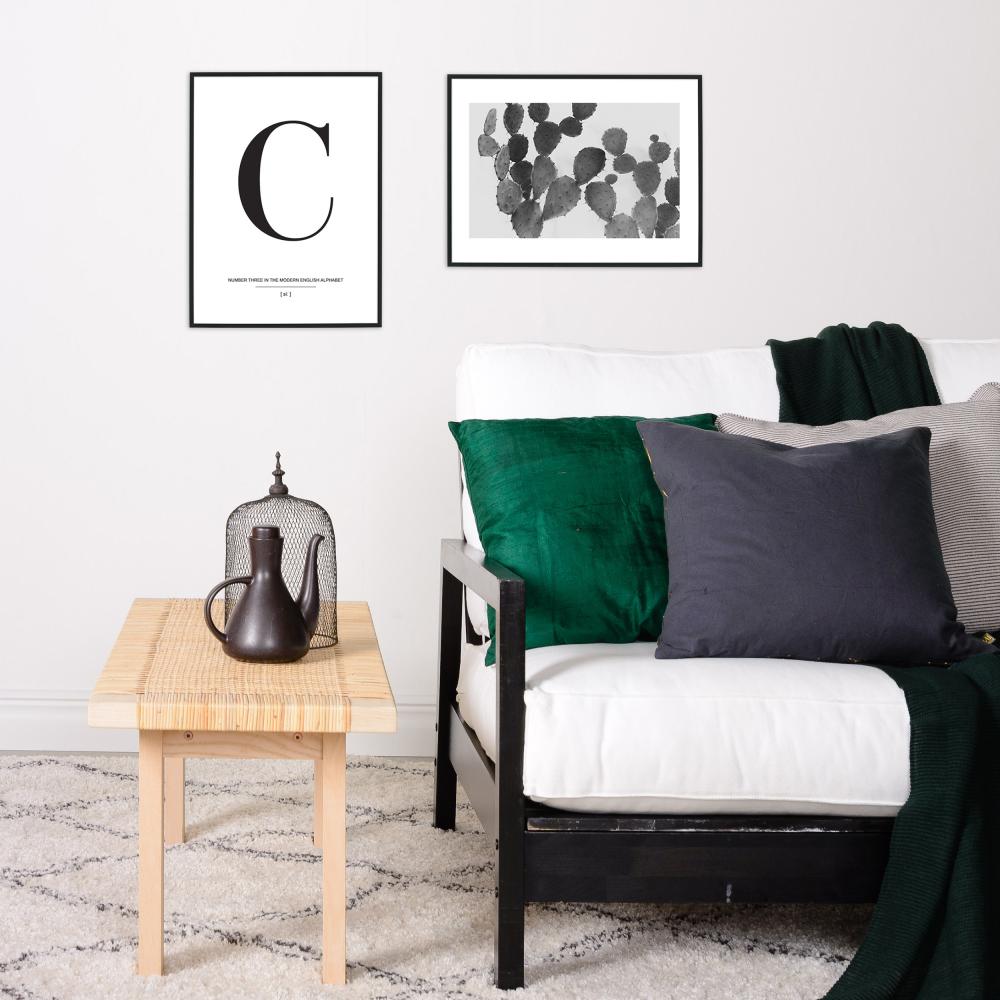 Letter C Poster