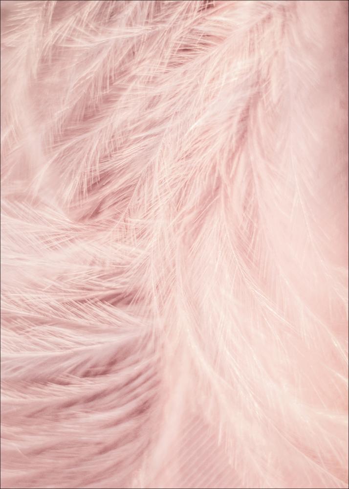 Pink Feathers Poster