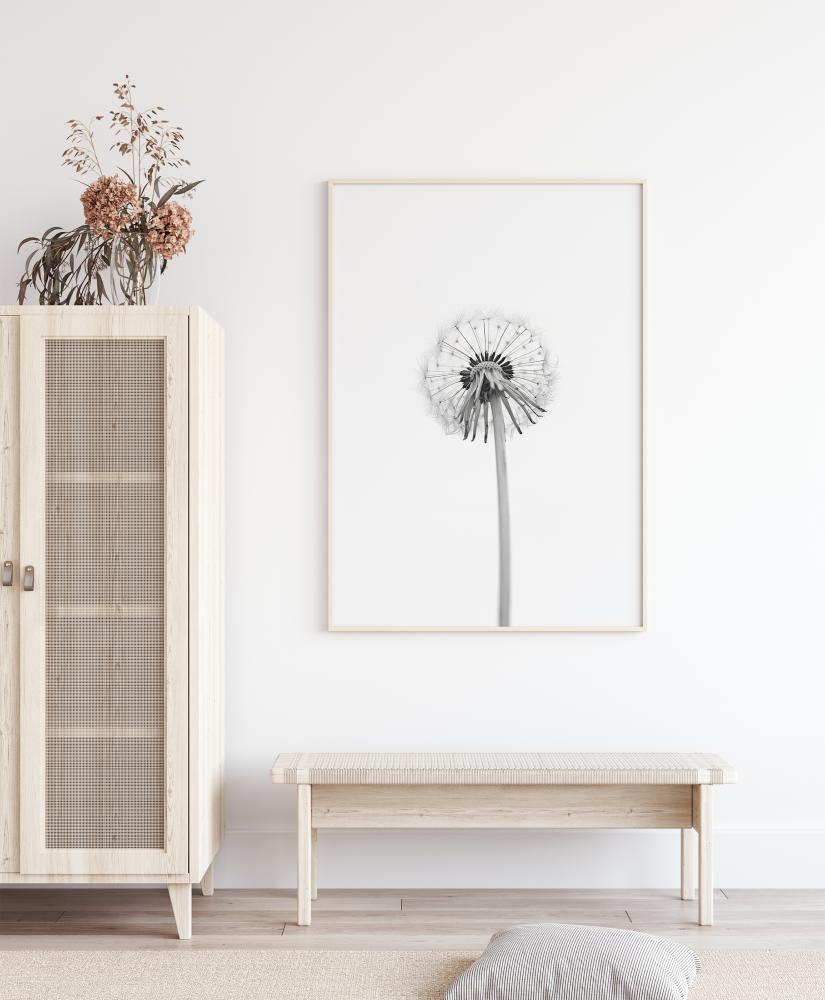 Dandelion Poster