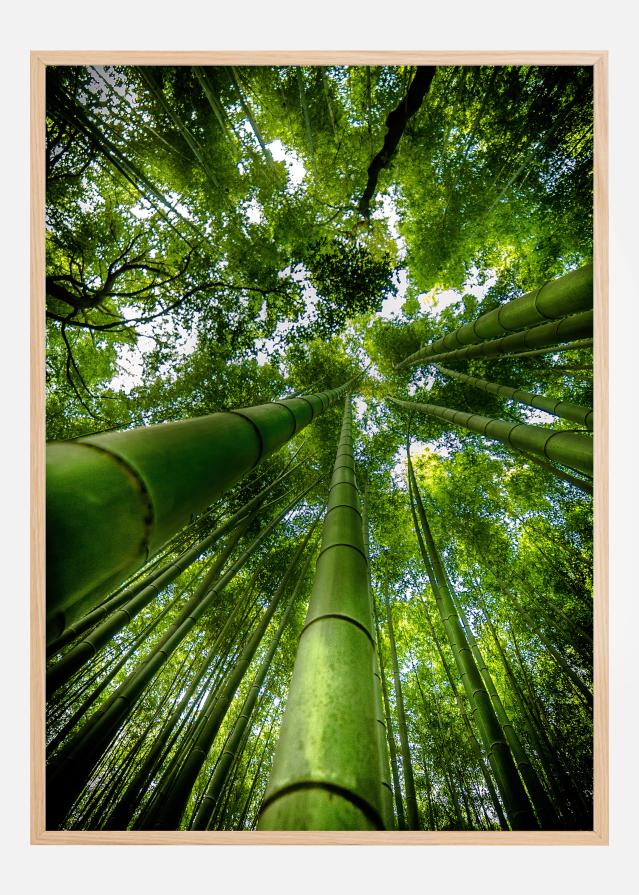 ARASHIYAMA Poster