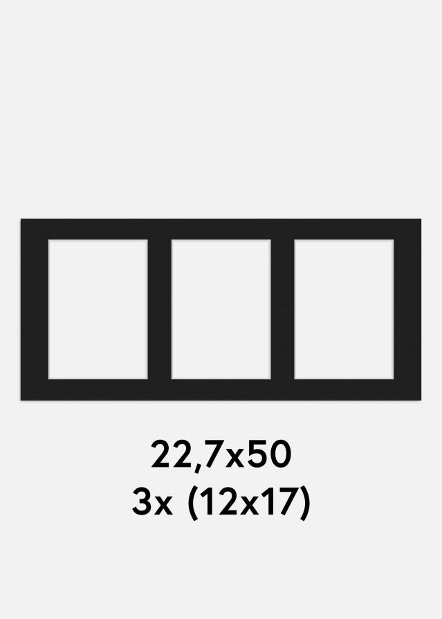 Paspartŭ Črna 22,7x50 cm - Kolaž 3 Slike (12x17 cm)