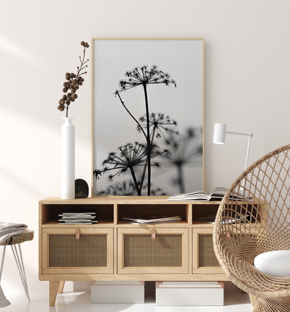 Black And White Flowers Poster