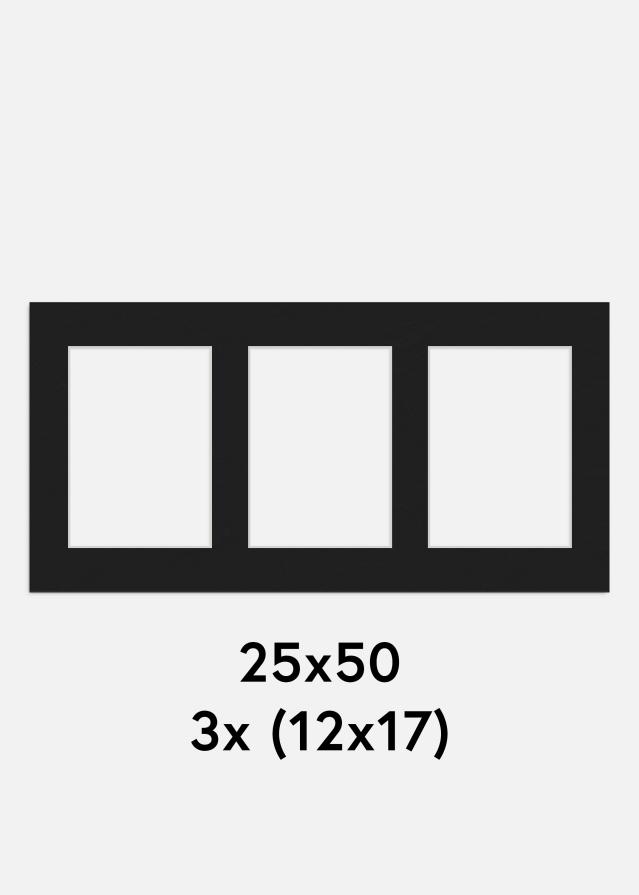 Paspartŭ Črna 25x50 cm - Kolaž 3 Slike (12x17 cm)