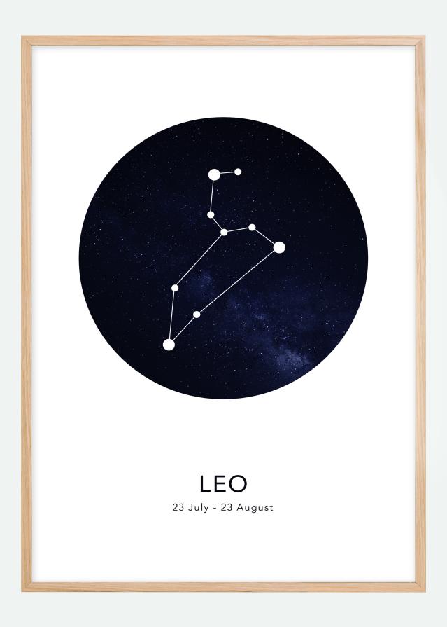 Leo Poster