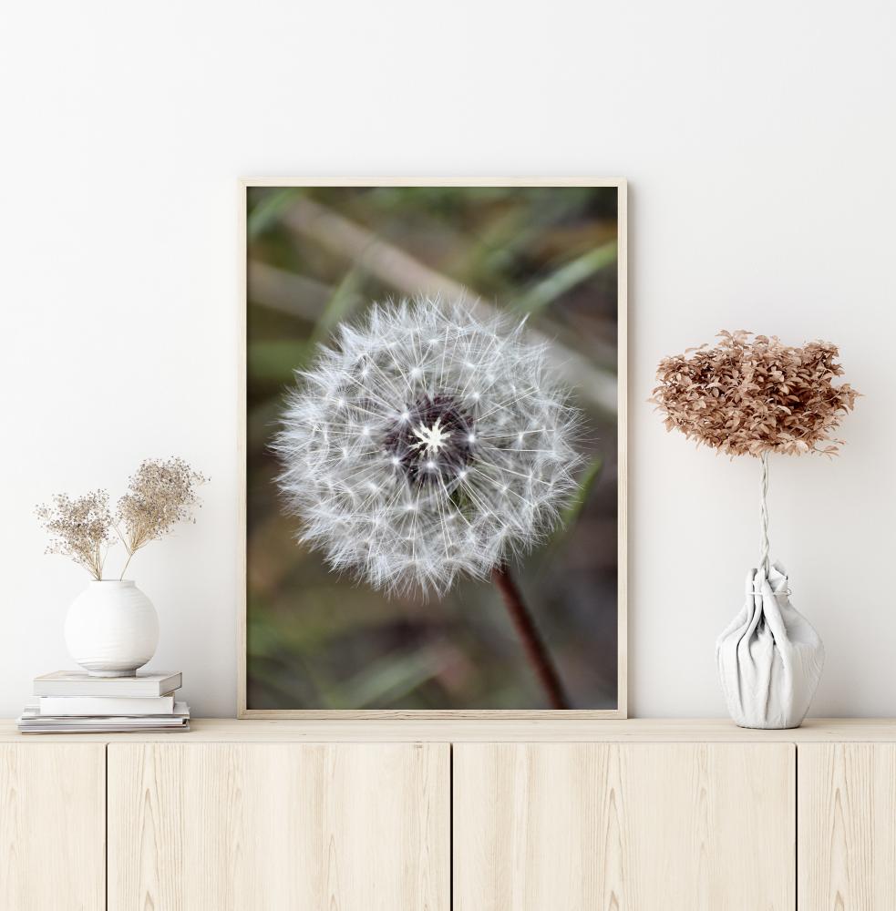 Dandelion Poster