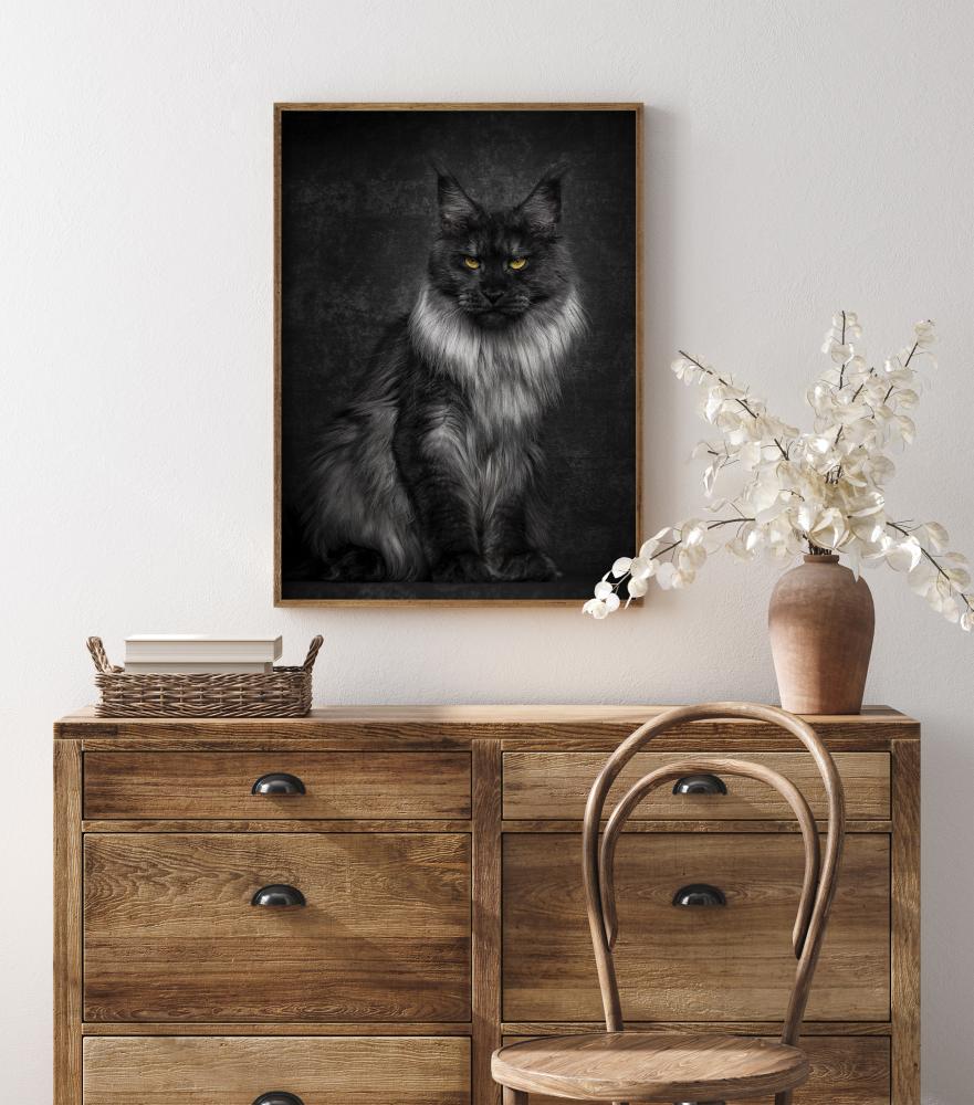 Maincoon Poster