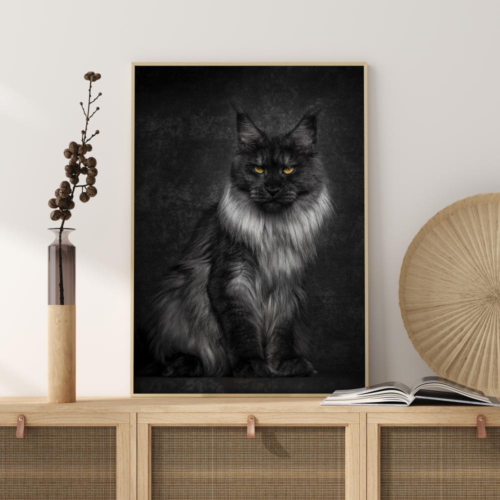 Maincoon Poster