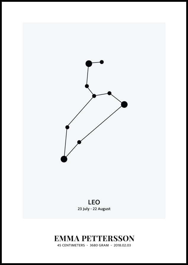 Leo - Zodiakalno znamenje