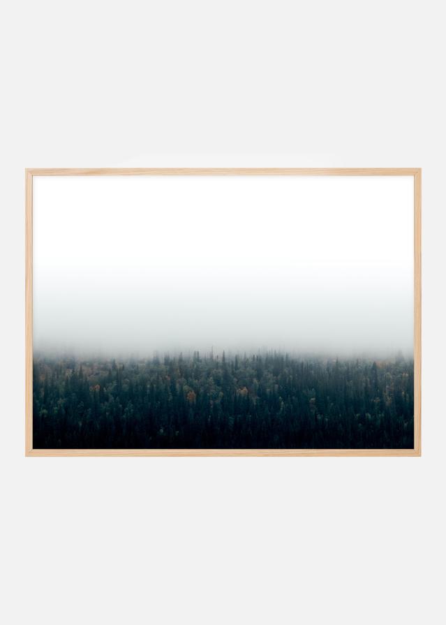 Forests in fog Poster