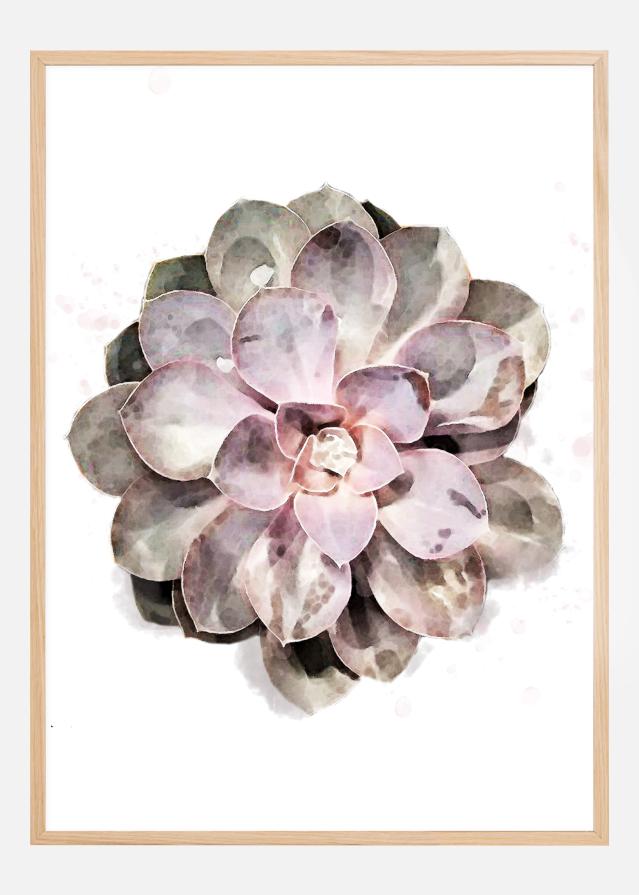 Succulent Poster