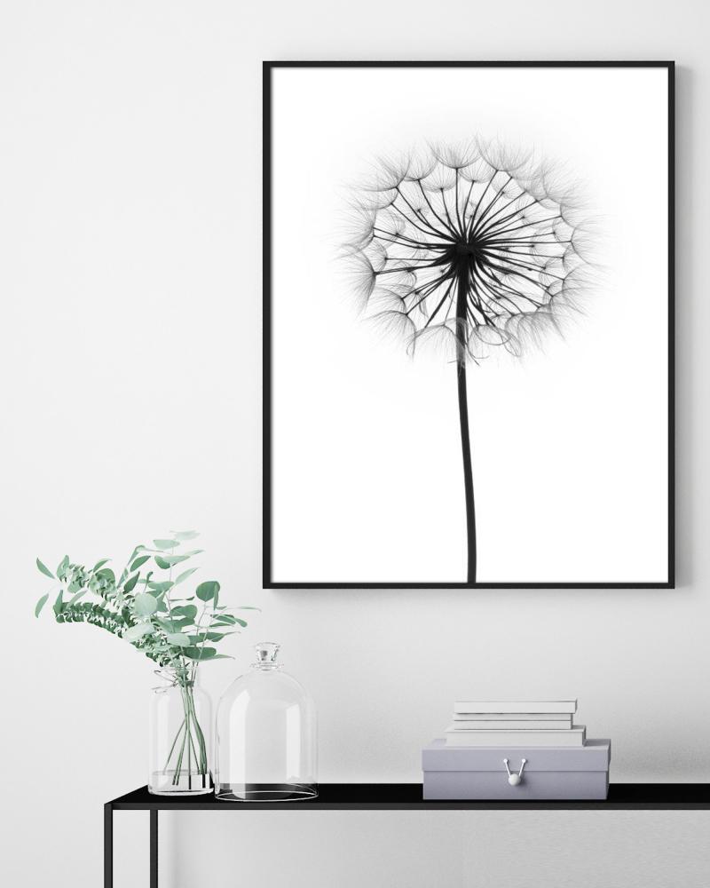 Dandelion Poster