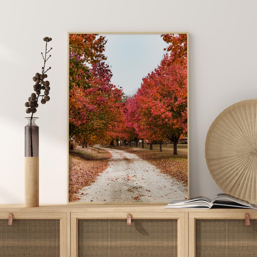 Autum Road Poster