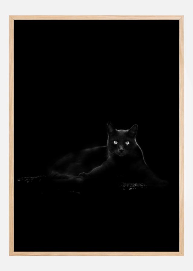 Cat Poster