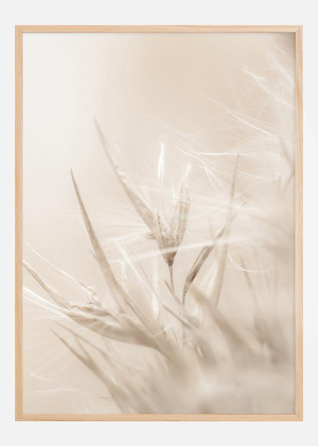 Beige Dried Straws l Poster