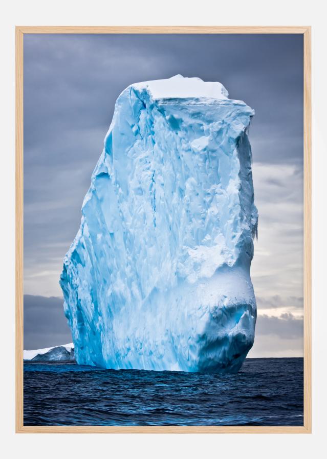 Iceberg Poster