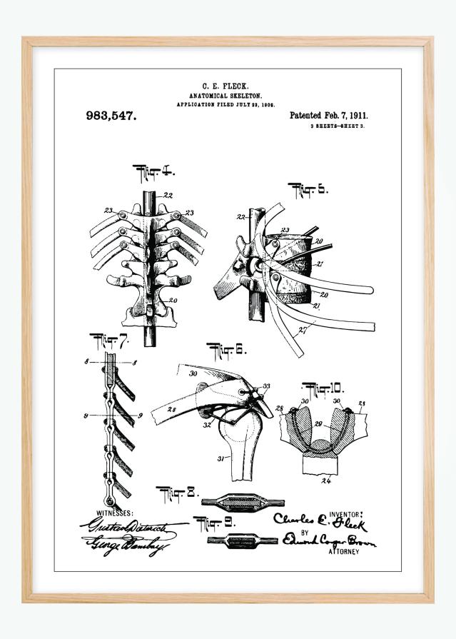 Risba patenta - Anatomičen Skelet III Poster