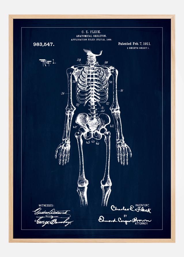 Risba patenta - Anatomičen Skelet v - Modra Poster