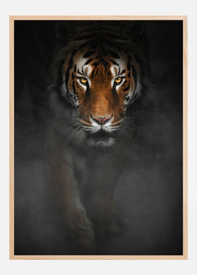 Intense Tiger Poster