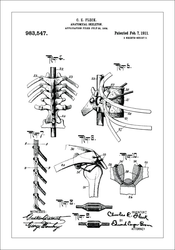 Risba patenta - Anatomičen Skelet III Poster